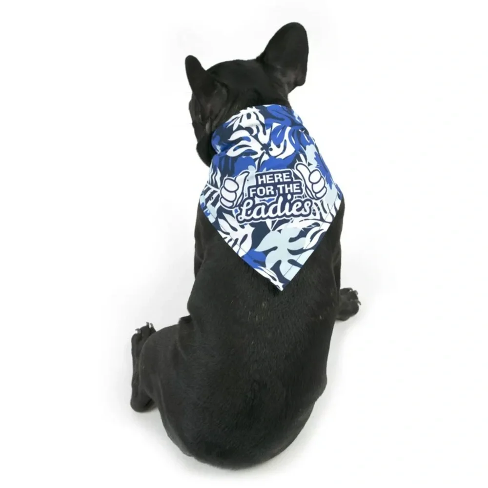 Vibrant Life Dog Bandana & Collar Clip Set, 